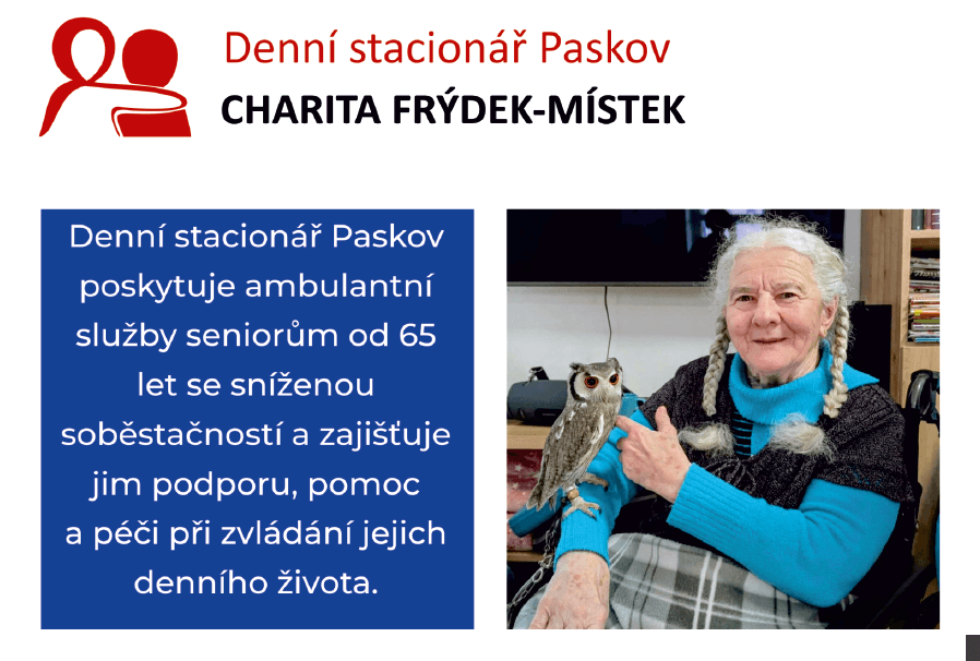 Obrázek k aktualitě Nabídka služeb Denního stacionáře Paskov